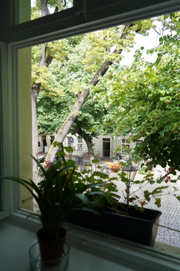 Cafe Alice & Pension Gmbh Potsdam Exterior foto